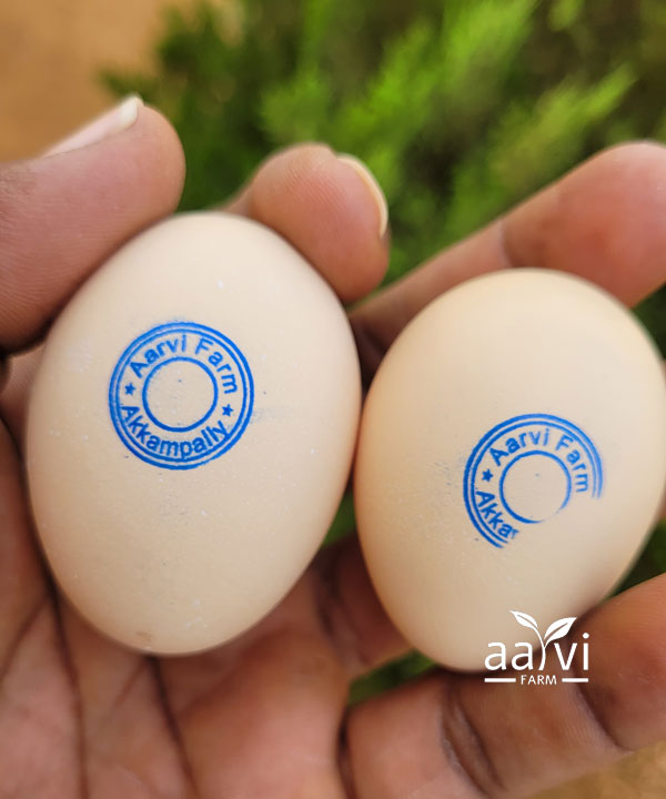 Aarvi Farm's Eggs