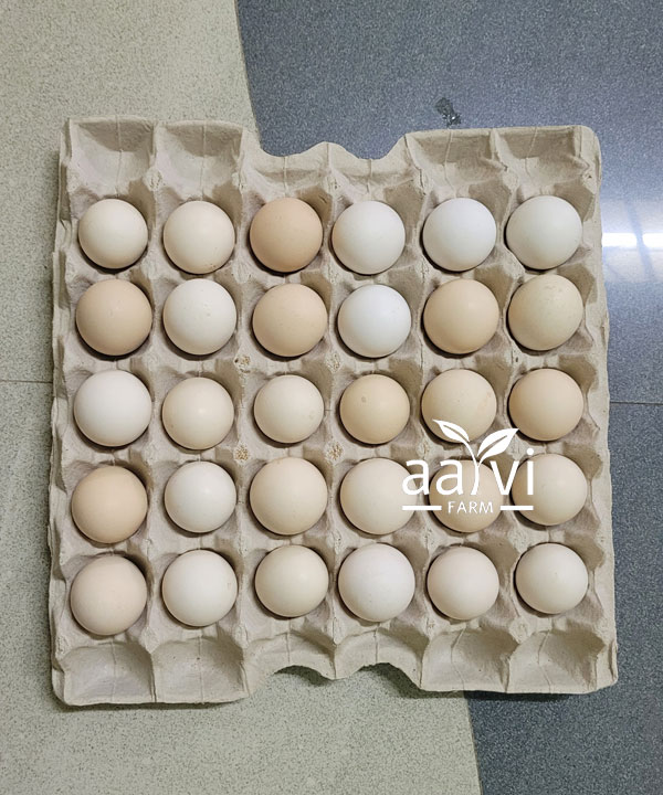 Aarvi Farm's Natural Eggs