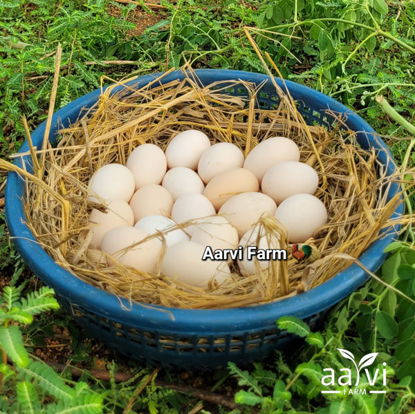 Aarvi Farm's Moringa Eggs