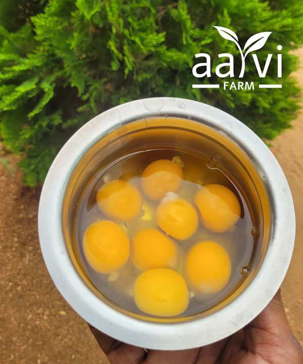 Aarvi Farm's Pastured Raised Eggs