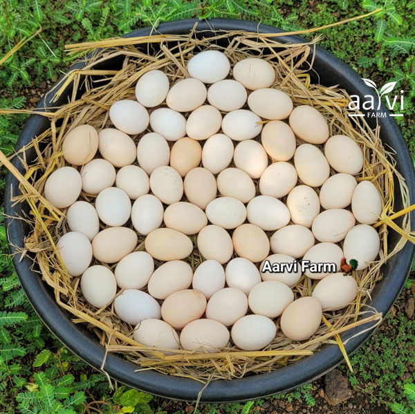 Aarvi Farm's Pastured Chicken Eggs